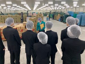 甲府青果 山梨 青果 仲卸 甲府 山梨 地元 野菜 果物 採用 マイナビ 2022 就活 会社説明会 説明会