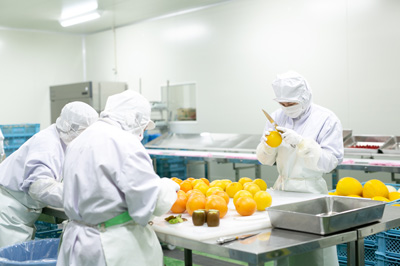 甲府青果 山梨 採用情報 製造部門