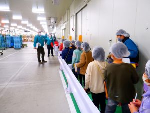 甲府青果 山梨 青果 仲卸 甲府 山梨 地元 野菜 果物 小学生 社会科見学 会社見学