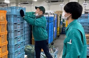 甲府青果 山梨 青果 仲卸 甲府 山梨 地元 野菜 果物 採用 マイナビ 2022 就活 会社説明会 説明会 先輩社員 先輩 内定者 内定者交流会 現場体験 社内見学