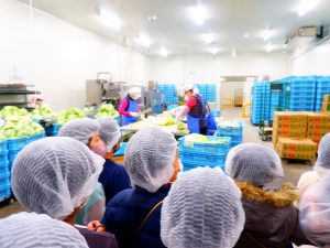 甲府青果 山梨 青果 仲卸 甲府 山梨 地元 野菜 果物 小学生 社会科見学 会社見学