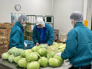 甲府青果 山梨 青果 仲卸 甲府 山梨 地元 野菜 果物 採用 マイナビ 2022 就活 会社説明会 説明会 先輩社員 先輩 内定者 内定者交流会 現場体験 社内見学 加工 パイナップル 野菜カット 加工業務