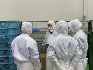 甲府青果 山梨 青果 仲卸 甲府 山梨 地元 野菜 果物 採用 マイナビ 2022 就活 会社説明会 説明会 先輩社員 先輩 内定者 内定者交流会 現場体験 社内見学 加工 パイナップル 野菜カット 加工業務