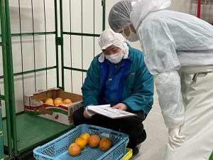 甲府青果 山梨 青果 仲卸 甲府 山梨 地元 野菜 果物 採用 マイナビ 2022 就活 会社説明会 説明会 先輩社員 先輩 内定者 内定者交流会 現場体験 社内見学 加工 パイナップル 野菜カット 加工業務