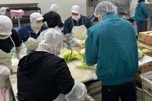 甲府青果 山梨 青果 仲卸 甲府 山梨 地元 野菜 果物 採用 マイナビ 2022 就活 会社説明会 説明会 先輩社員 先輩 内定者 内定者交流会 現場体験 社内見学 加工 パイナップル 野菜カット 加工業務