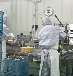 甲府青果 山梨 青果 仲卸 甲府 山梨 地元 野菜 果物 採用 マイナビ 2022 就活 会社説明会 説明会 先輩社員 先輩 内定者 内定者交流会 現場体験 社内見学 加工 パイナップル 野菜カット 加工業務